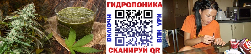 Cannafood конопля  где купить наркоту  Вытегра 