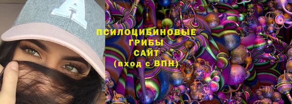 индика Абдулино