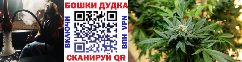 МАРИХУАНА OG Kush Вытегра